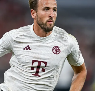 而是用个人 而是用个人