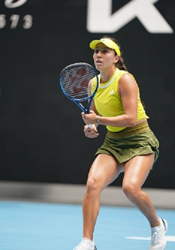 资料片式收 资料片式收